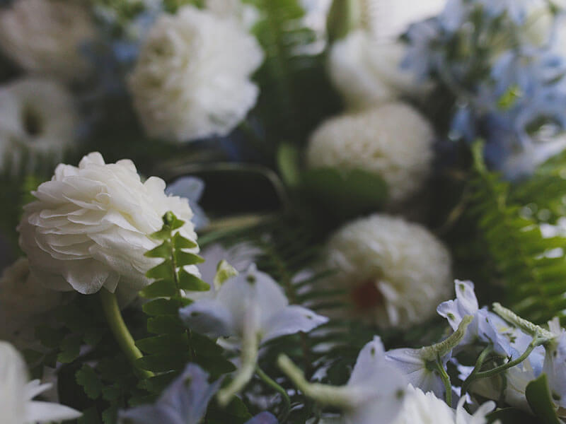 About Us Discover the City of Ropesville